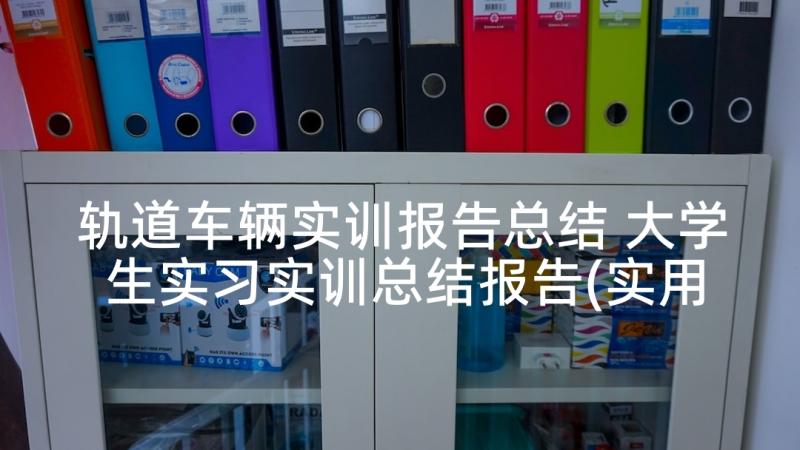 轨道车辆实训报告总结 大学生实习实训总结报告(实用5篇)