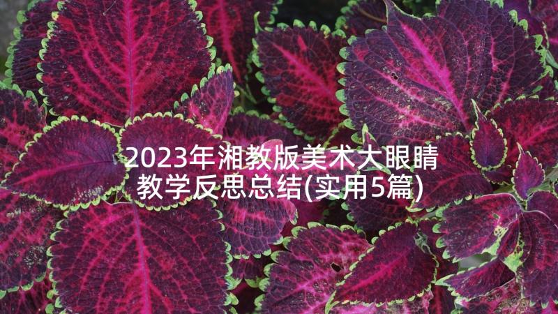 2023年湘教版美术大眼睛教学反思总结(实用5篇)