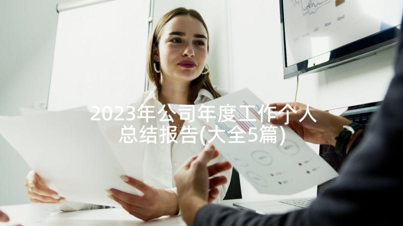 2023年公司年度工作个人总结报告(大全5篇)