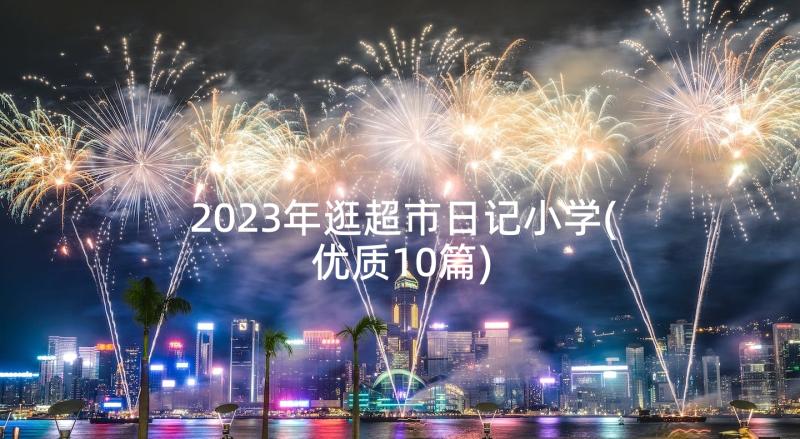 2023年逛超市日记小学(优质10篇)