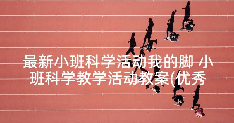 最新小班科学活动我的脚 小班科学教学活动教案(优秀9篇)