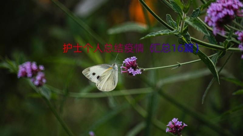 护士个人总结疫情（汇总16篇）