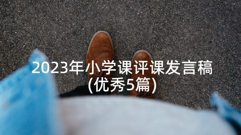 2023年小学课评课发言稿(优秀5篇)