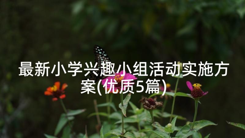 最新小学兴趣小组活动实施方案(优质5篇)