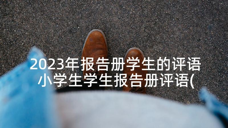 2023年报告册学生的评语 小学生学生报告册评语(优质8篇)