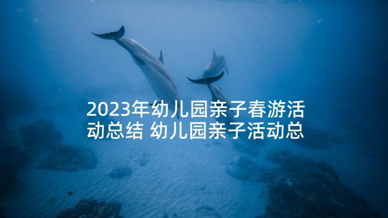 2023年幼儿园亲子春游活动总结 幼儿园亲子活动总结(模板9篇)