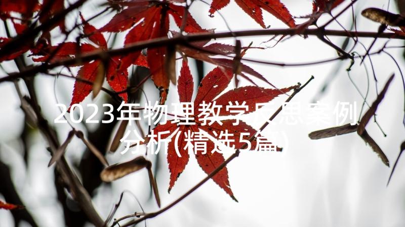 2023年物理教学反思案例分析(精选5篇)