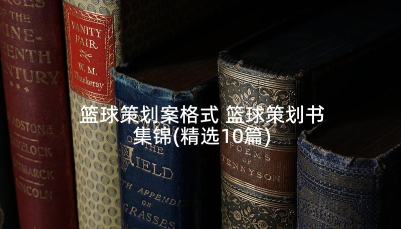 篮球策划案格式 篮球策划书集锦(精选10篇)