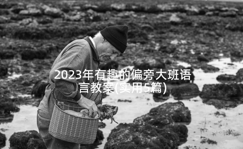 2023年有趣的偏旁大班语言教案(实用5篇)