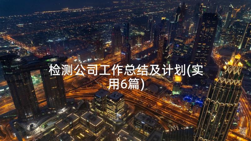 检测公司工作总结及计划(实用6篇)