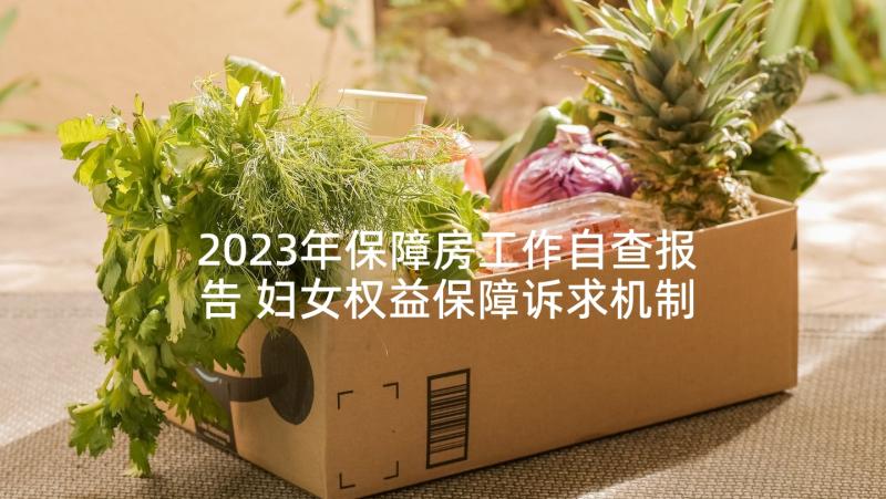 2023年保障房工作自查报告 妇女权益保障诉求机制的调研报告(模板9篇)