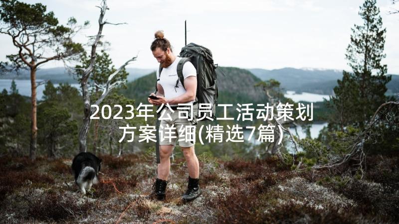 2023年公司员工活动策划方案详细(精选7篇)