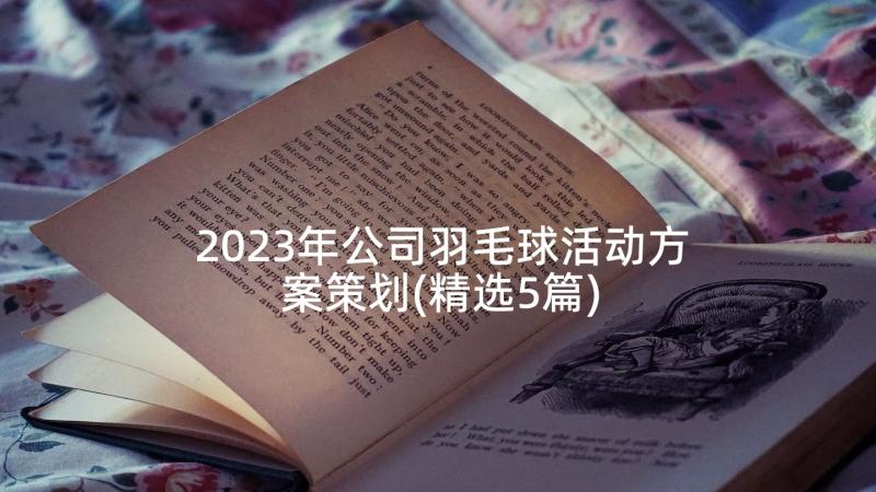 2023年公司羽毛球活动方案策划(精选5篇)