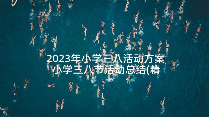 2023年小学三八活动方案 小学三八节活动总结(精选5篇)