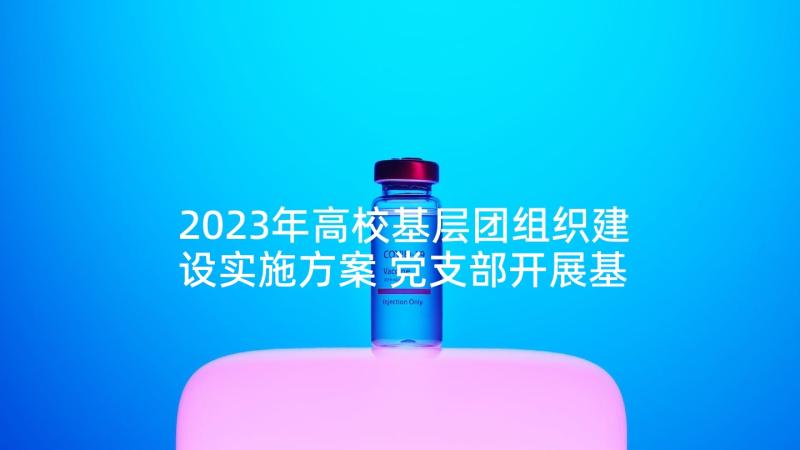 2023年高校基层团组织建设实施方案 党支部开展基层组织建设年工作的实施方案(优秀5篇)