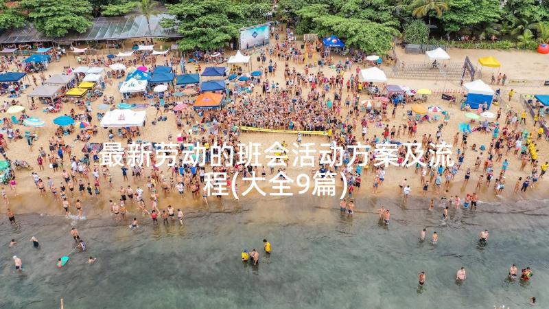 最新劳动的班会活动方案及流程(大全9篇)