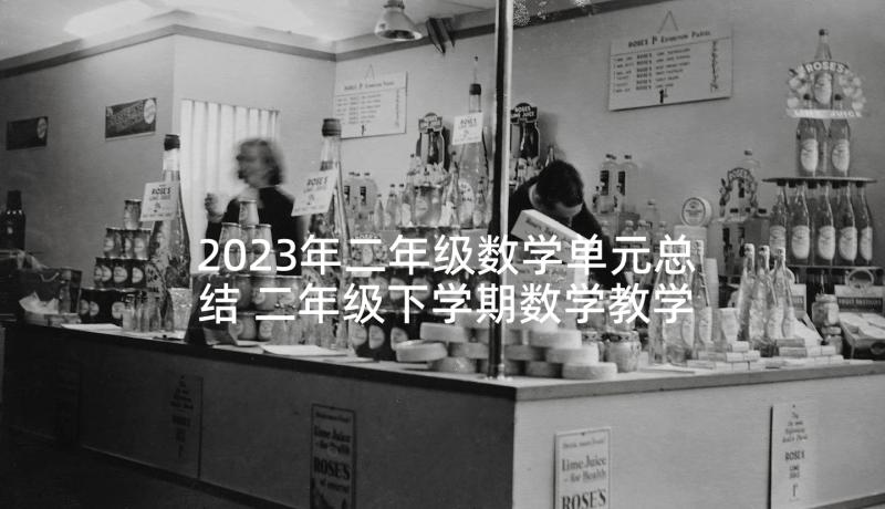 2023年二年级数学单元总结 二年级下学期数学教学计划(优质6篇)