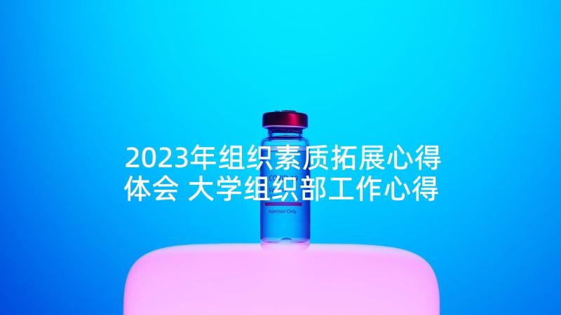 2023年组织素质拓展心得体会 大学组织部工作心得体会(模板5篇)