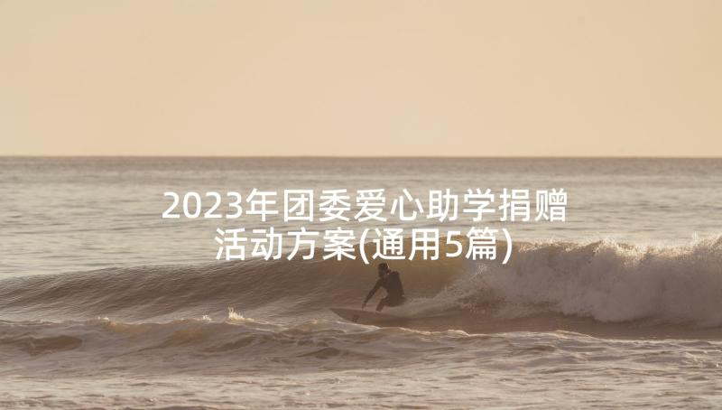 2023年团委爱心助学捐赠活动方案(通用5篇)