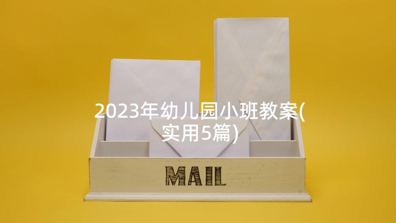 2023年幼儿园小班教案(实用5篇)