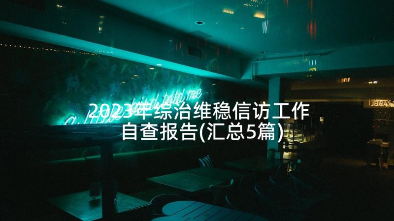 2023年综治维稳信访工作自查报告(汇总5篇)