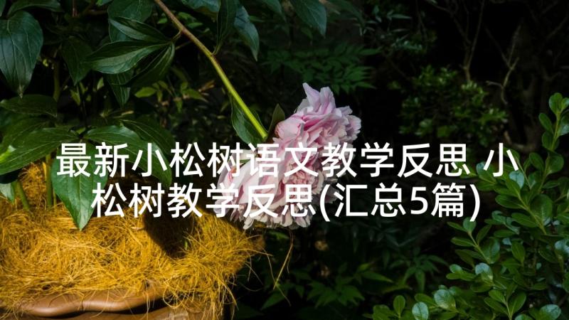 最新小松树语文教学反思 小松树教学反思(汇总5篇)