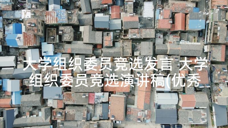 大学组织委员竞选发言 大学组织委员竞选演讲稿(优秀5篇)