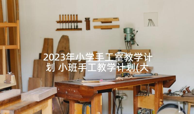 2023年小学手工室教学计划 小班手工教学计划(大全5篇)