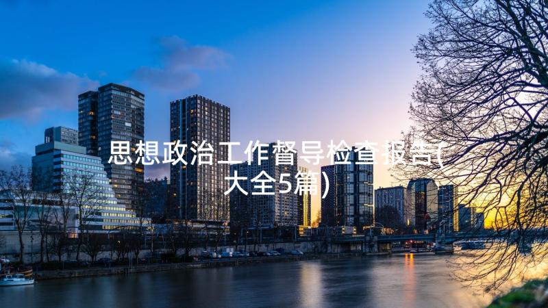 思想政治工作督导检查报告(大全5篇)