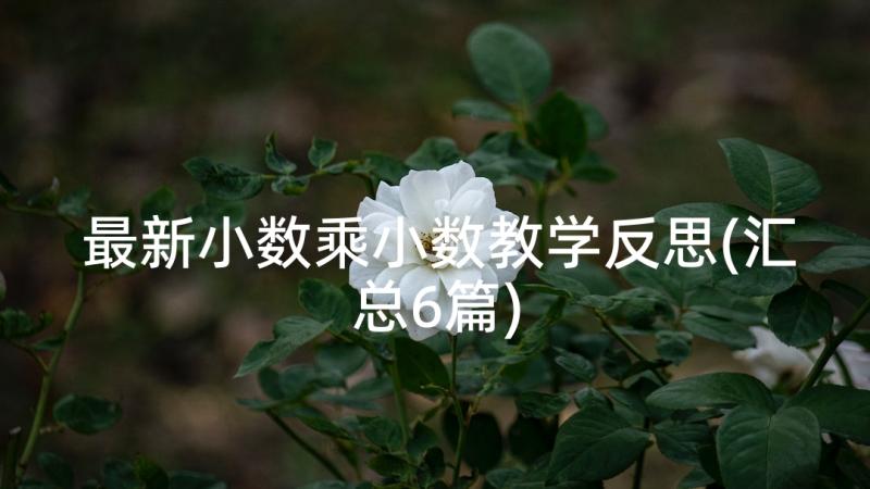 最新小数乘小数教学反思(汇总6篇)