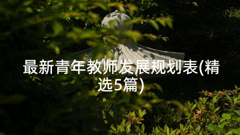 最新青年教师发展规划表(精选5篇)