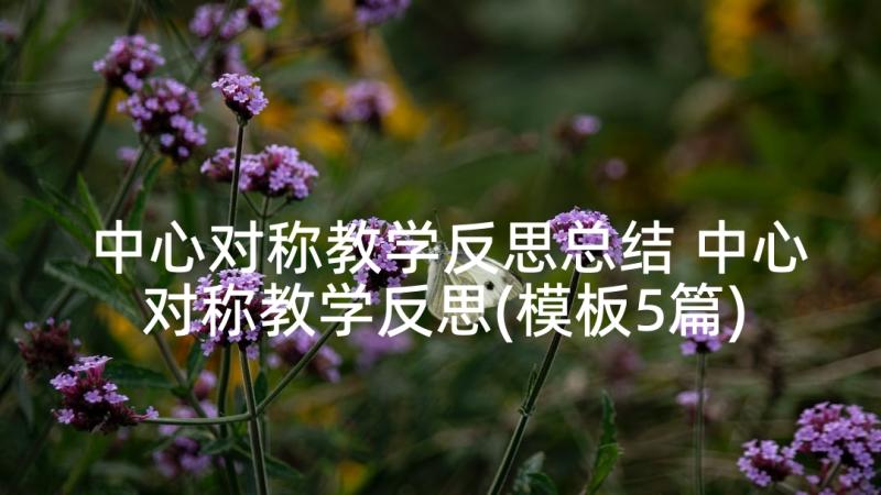 中心对称教学反思总结 中心对称教学反思(模板5篇)