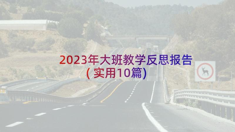 2023年大班教学反思报告(实用10篇)