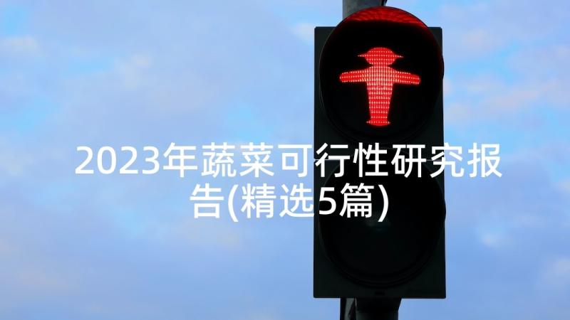 2023年蔬菜可行性研究报告(精选5篇)