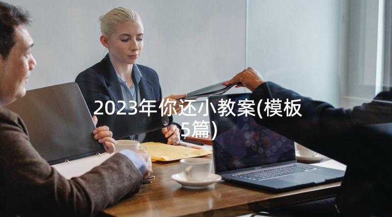 2023年你还小教案(模板5篇)