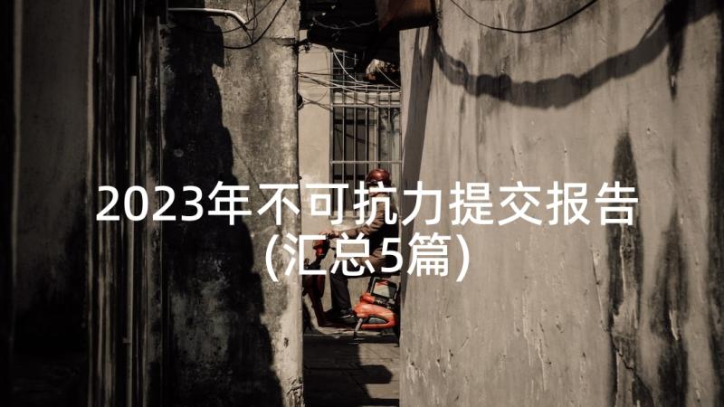 2023年不可抗力提交报告(汇总5篇)