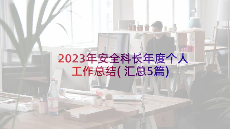 2023年安全科长年度个人工作总结(汇总5篇)