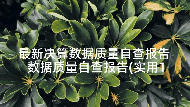 最新决算数据质量自查报告 数据质量自查报告(实用10篇)