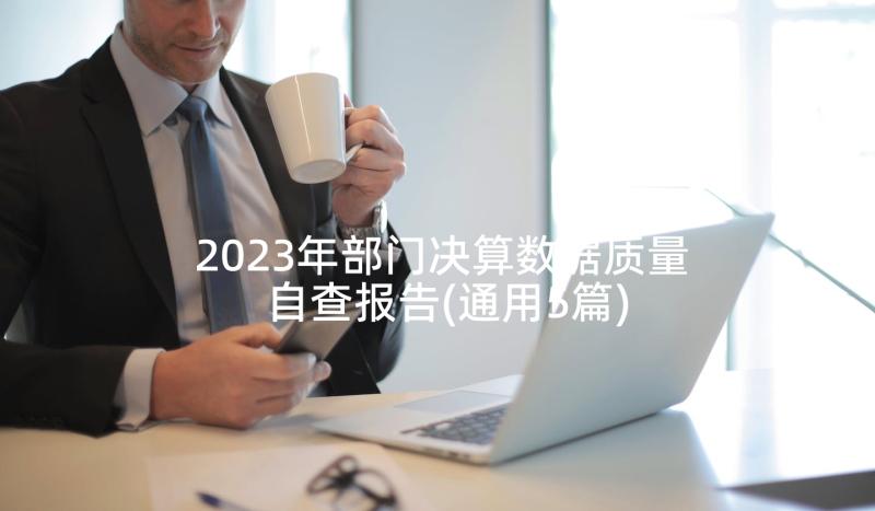 2023年部门决算数据质量自查报告(通用5篇)