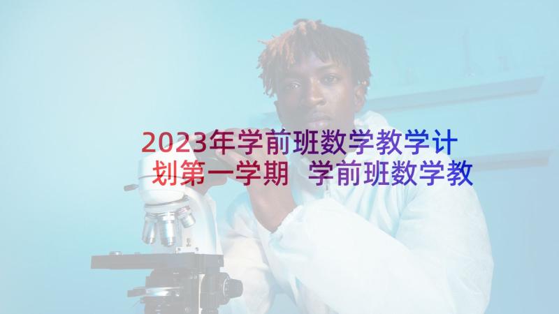 2023年学前班数学教学计划第一学期 学前班数学教学计划分享(优质6篇)