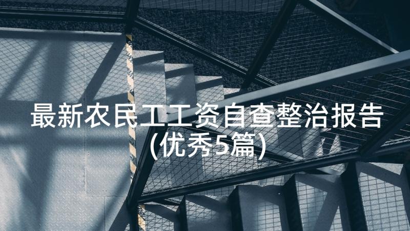 最新农民工工资自查整治报告(优秀5篇)