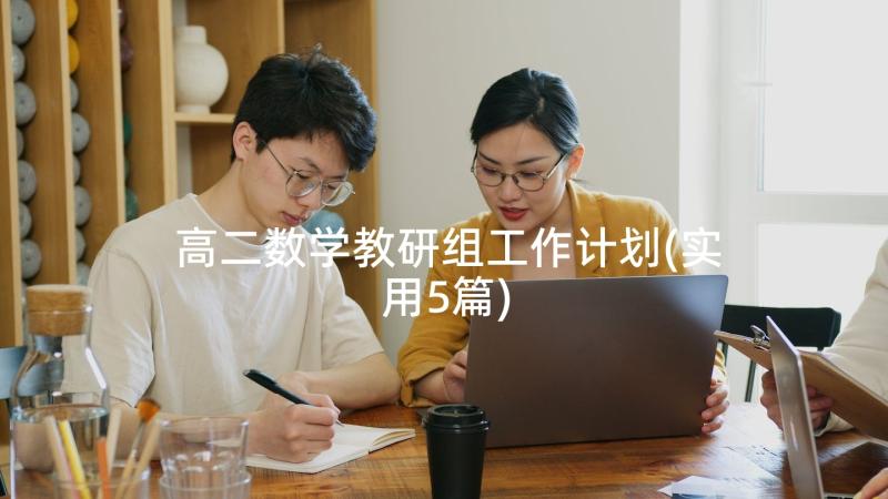 高二数学教研组工作计划(实用5篇)