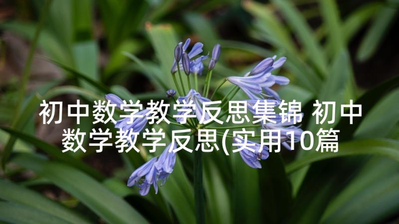 初中数学教学反思集锦 初中数学教学反思(实用10篇)