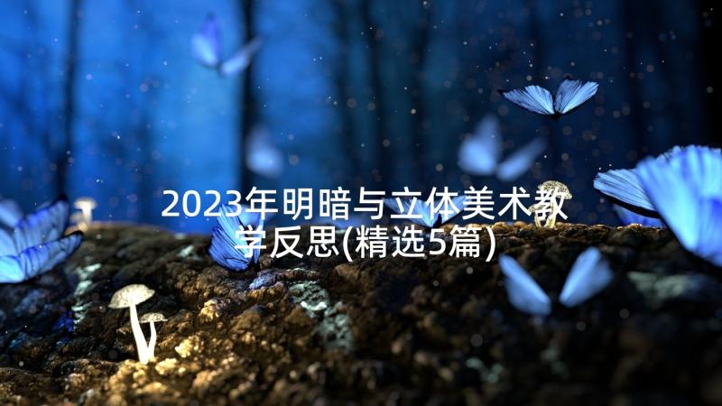 2023年明暗与立体美术教学反思(精选5篇)