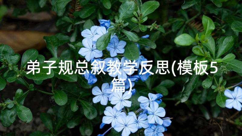 弟子规总叙教学反思(模板5篇)