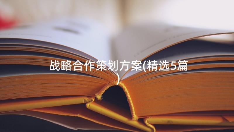 战略合作策划方案(精选5篇)