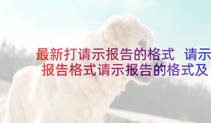 最新打请示报告的格式 请示报告格式请示报告的格式及(模板8篇)