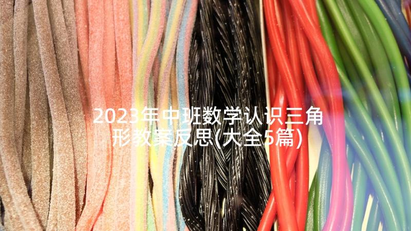 2023年中班数学认识三角形教案反思(大全5篇)