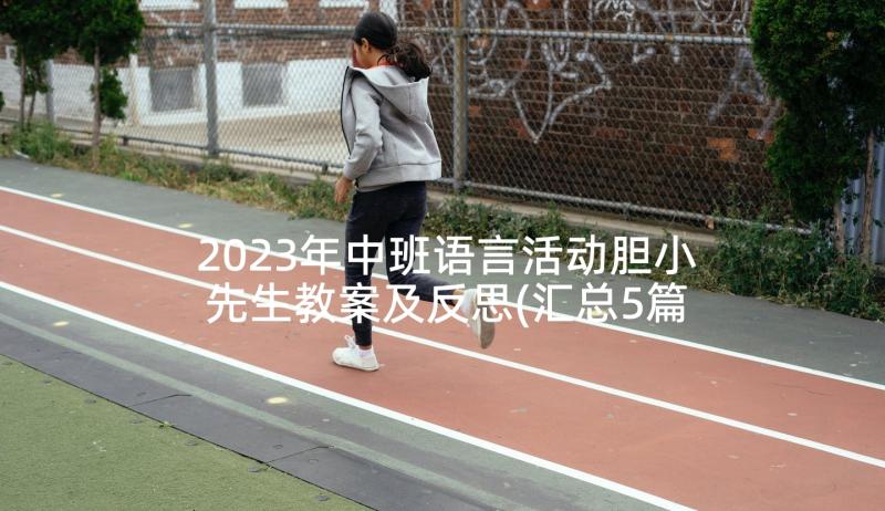 2023年中班语言活动胆小先生教案及反思(汇总5篇)