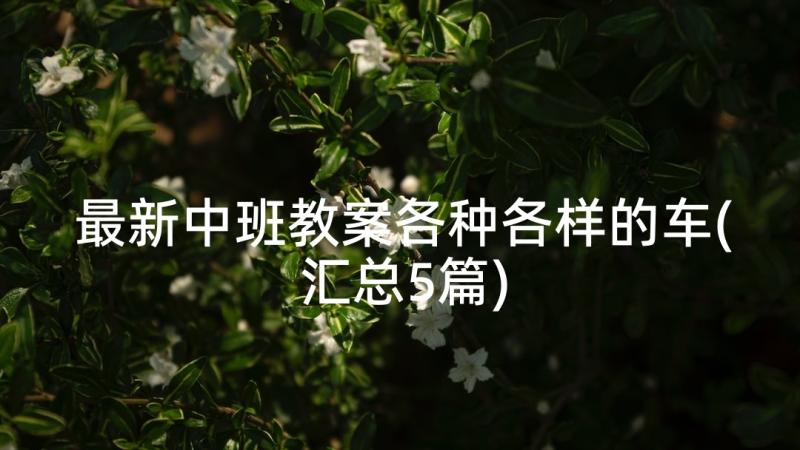 最新中班教案各种各样的车(汇总5篇)